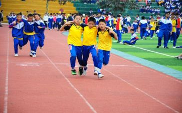 幼儿园体育活动游戏教案通用7篇