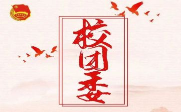 校团委工作心得体会7篇