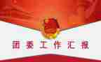 院团委工作总结优质8篇
