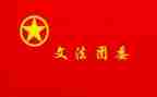 村团委工作总结报告8篇
