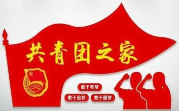 团组织部心得体会6篇