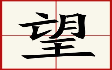 望春风心得体会6篇