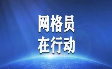 镇网格化管理工作总结5篇