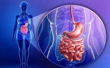 胃病退宿申请书模板8篇