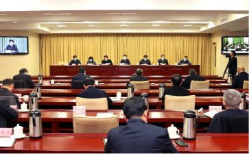 自委会工作总结优秀8篇