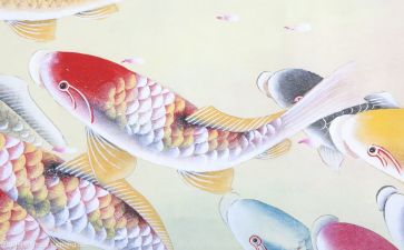 吃文化心得体会参考8篇