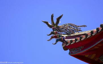 圈文化心得体会模板5篇