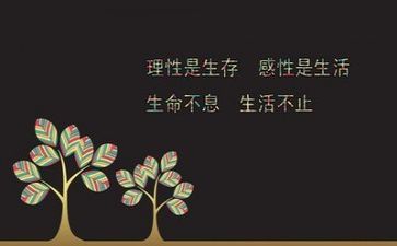 文字工作计划5篇