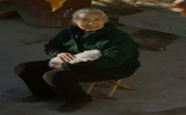 作文我的奶奶500字8篇