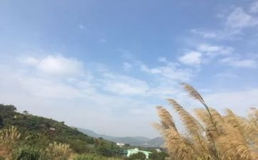 我的一天作文600字初中作文5篇
