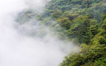 雾都孤儿,观后感5篇