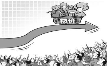 物价涨的调查报告7篇