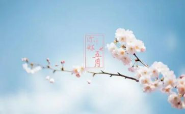 销售五月份月总结范文5篇