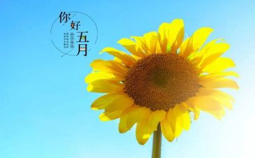 五月教师工作总结5篇