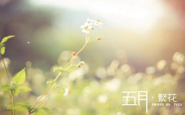 青协五月计划推荐5篇