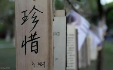我珍惜亲情作文优质8篇
