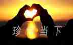 与珍惜的作文优质6篇