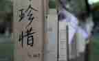 我珍惜亲情作文优质8篇