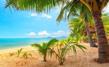 《夏日》读后感模板7篇