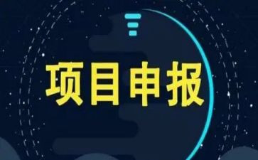 项目办半年工作总结范文6篇