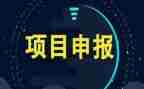 项目个人年终工作总结7篇