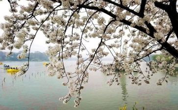 想起那件事我就作文模板8篇