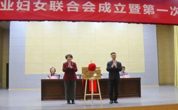 乡镇妇联2024工作总结5篇