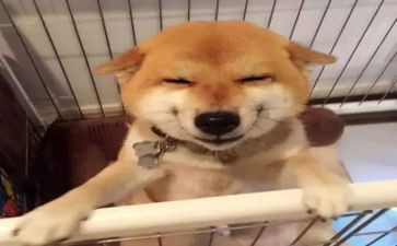 中班《微笑》教案8篇