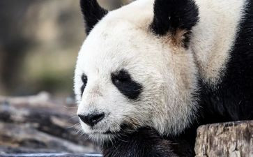 笑对人生心得体会最新7篇