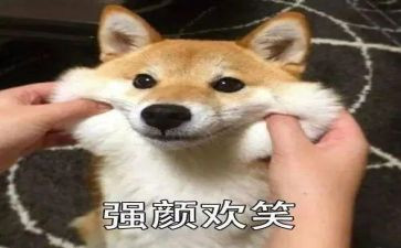 对_微笑作文800字参考5篇
