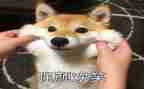 笑对人生心得体会参考5篇