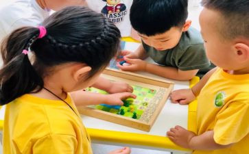 幼儿园小班语言活动教案推荐8篇