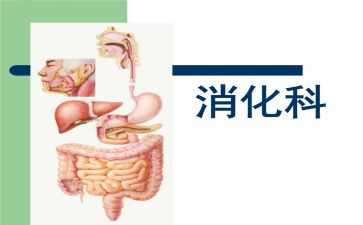 2024年消化内科工作计划8篇