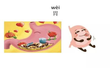 在消化科的心得体会6篇