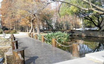 校内分餐心得体会5篇