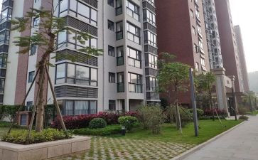 对小区环境的调查报告5篇
