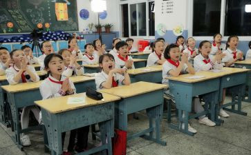 2024年小学语文组工作计划优秀8篇