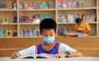 暑期小学培训心得参考6篇