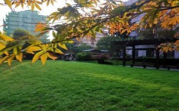 校园贷心得体会1000字7篇
