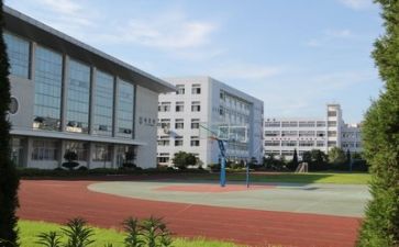 校园写心得体会推荐6篇