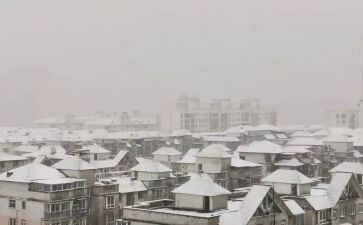 下雪了作文400字8篇