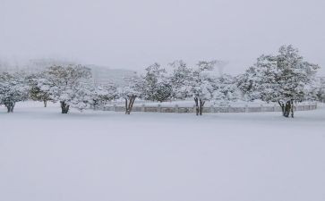 下雪天教案7篇