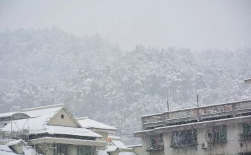 下雪天教案模板6篇