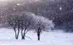下雪啦教案8篇