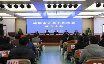 协会年度总结报告8篇