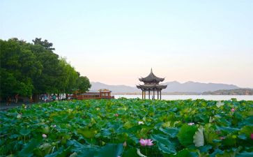 西湖的作文推荐6篇