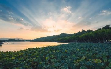 西湖的优秀作文推荐5篇