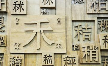 形近字教案小结8篇