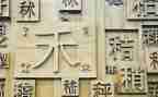 形近字教案小结8篇