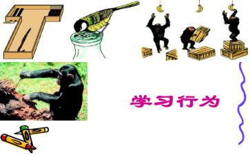 文明行为规范演讲稿6篇